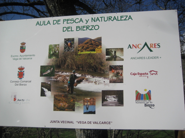 Ampliar imagen